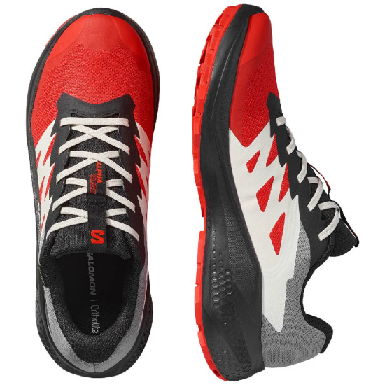 Salomon Alphaglide GTX